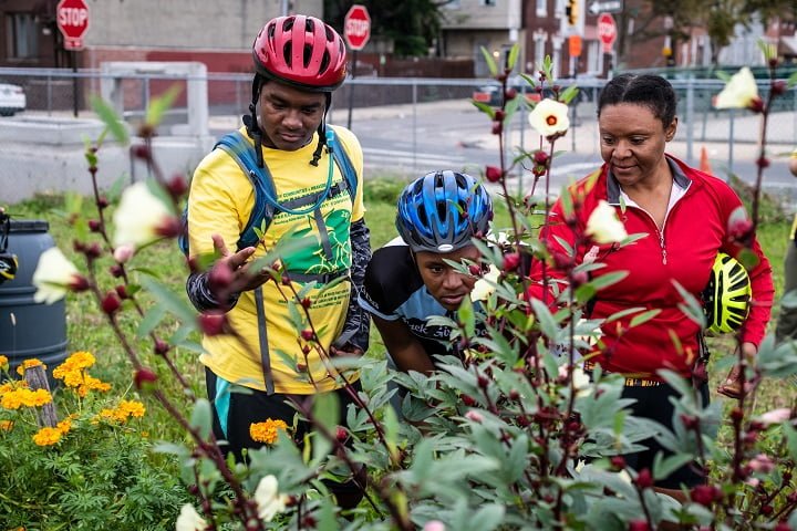 Three cyclists explore an urban farm