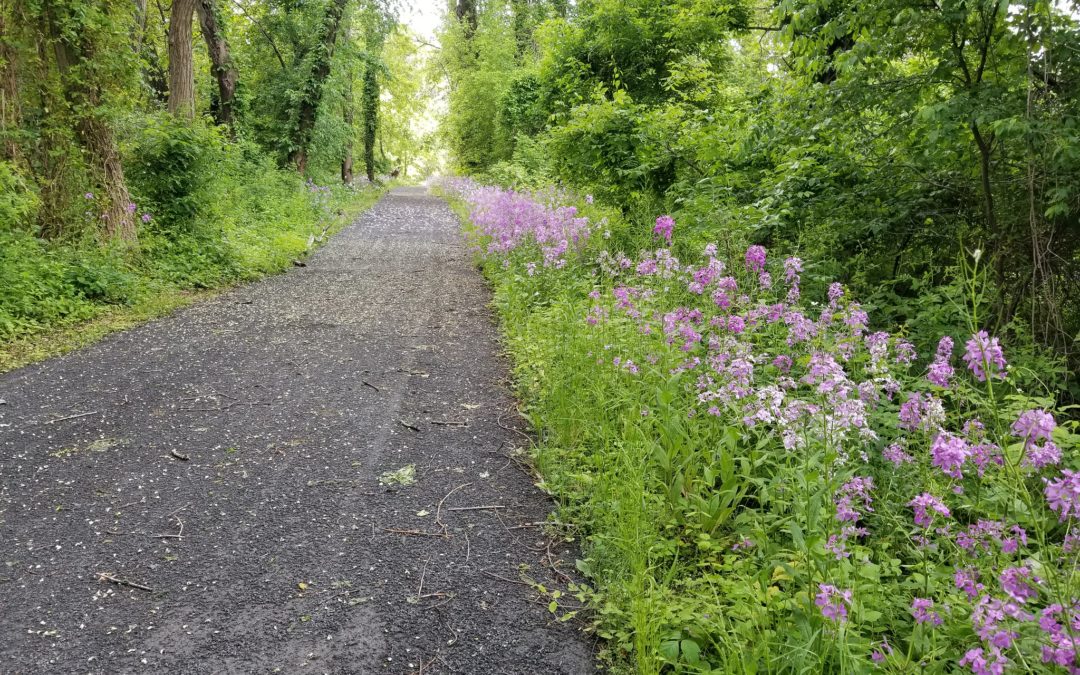 D&R Canal Towpath