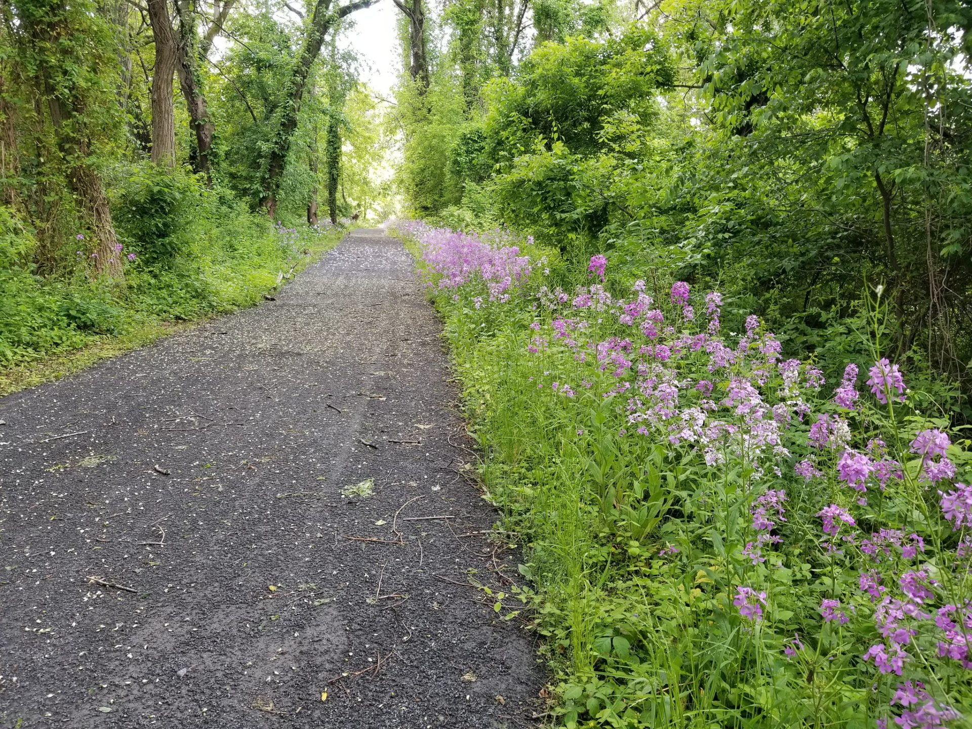 D&R Canal Towpath
