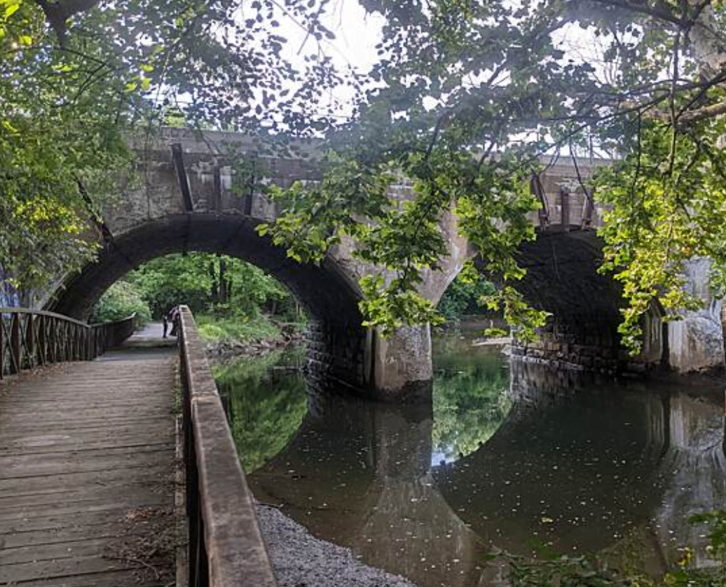 Pennypack trail along the creek heading under an arched bridge with lots of greenery