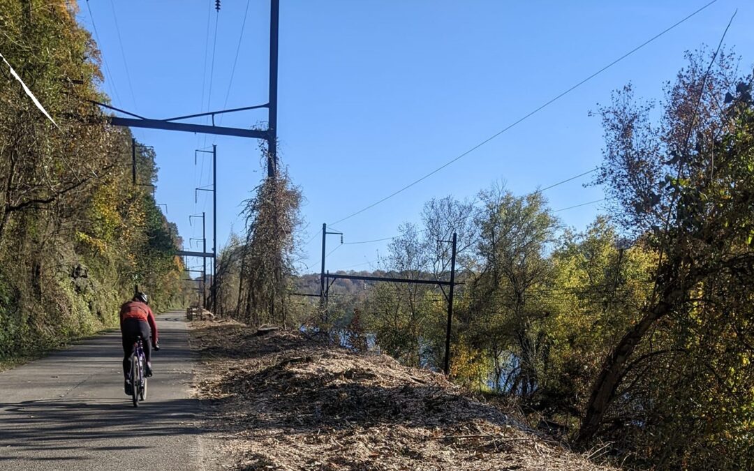 Photo of clear cutting along the Schuylkill River Trail. Image - Pat Morrisey Jackson on Facebook